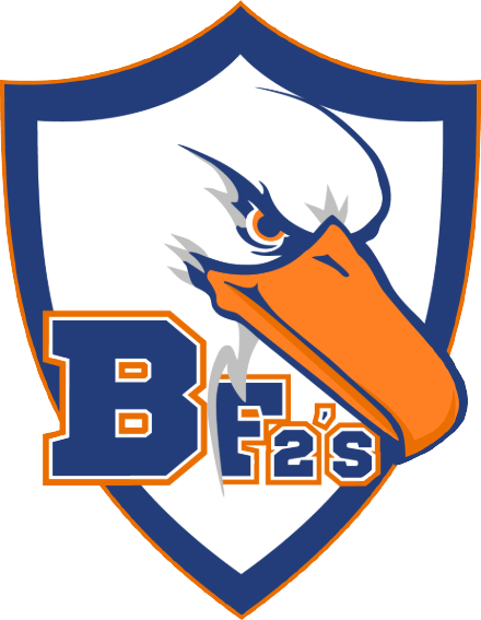 BFrisBee2's logo