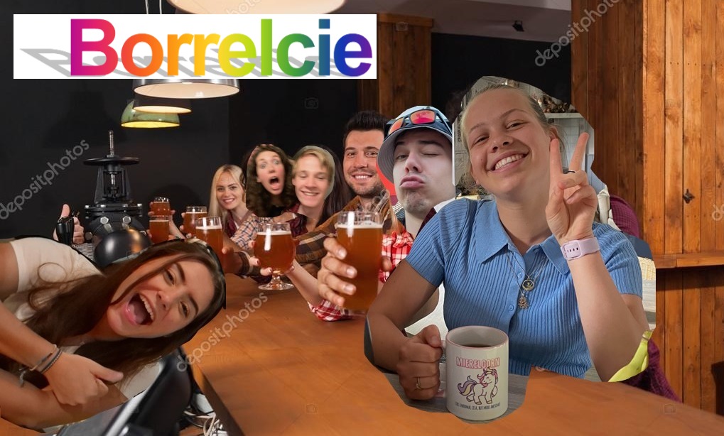image for Borrel committee